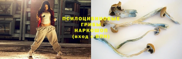 дживик Алексеевка