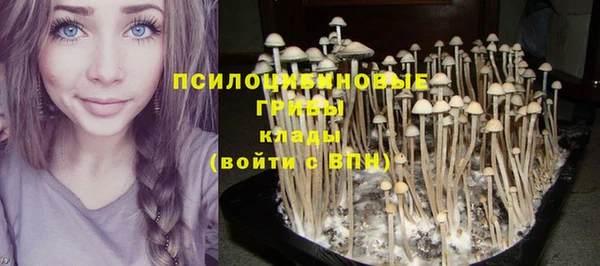 кокаин колумбия Алексин