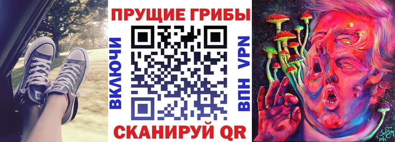 Купить закладки Лабинск Галлюциногенные грибы Psilocybine cubensis